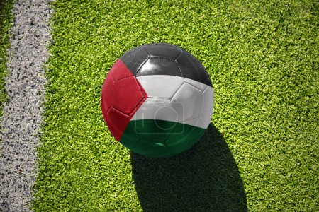 Photo for Football ball with the national flag of palestine on the green field near the white line - Royalty Free Image