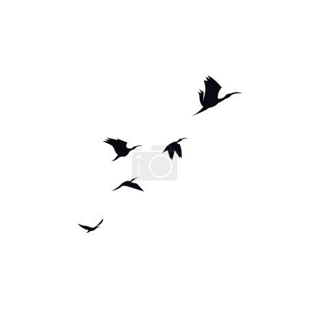 Ilustración de Pájaro volar en formación vector ilustración - Imagen libre de derechos