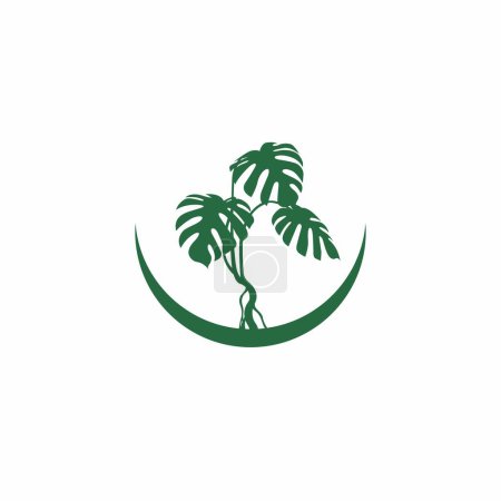 Beautiful Monstera Plant Logo