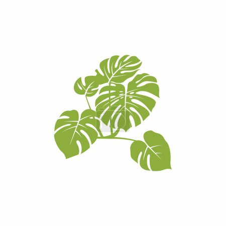 Monstera Leaf Vector, Monstera Logo Simple, Monstera Plant Illustration