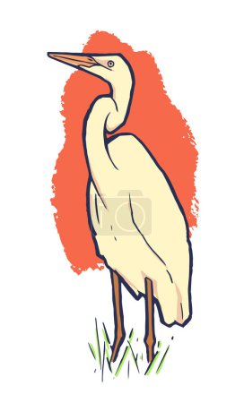 Illustration for Vector illustration design of a Great white egret in color - Royalty Free Image