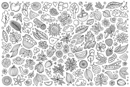 hand drawn doodle cartoon set of Summer nature theme items, objects and symbols