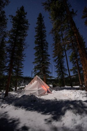 Winterzelt Camping - Weißes Tipi mit Schornstein, umgeben von hohen Bäumen 