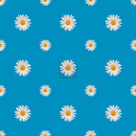 patrón sin costuras, flor blanca sobre un fondo azul