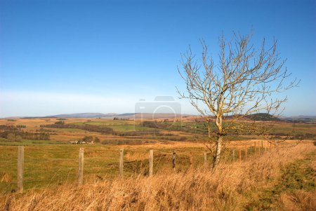 Photo for Landscape view over Billsmoor park eastwards in Northumberland near Rothbury - Royalty Free Image