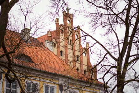 Foto de Techos de un antiguo castillo y un antiguo edificio con tejas rojas con árboles en primer plano - Imagen libre de derechos