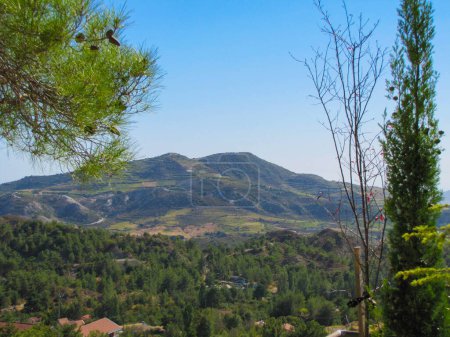 Foto de Vista de una montaña con árboles al pie de la montaña opuesta con ramas de árboles en el marco - Imagen libre de derechos