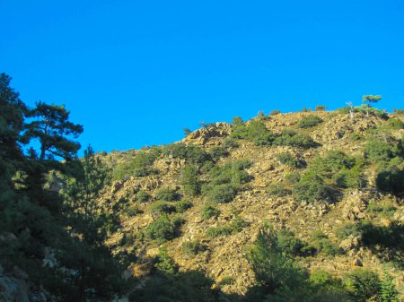 Foto de Vista de una ladera rocosa con vegetación y arbustos - Imagen libre de derechos