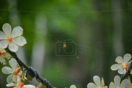 Foto de Una araña teje su red redonda entre ramas de flores artificiales sobre un fondo verde - Imagen libre de derechos