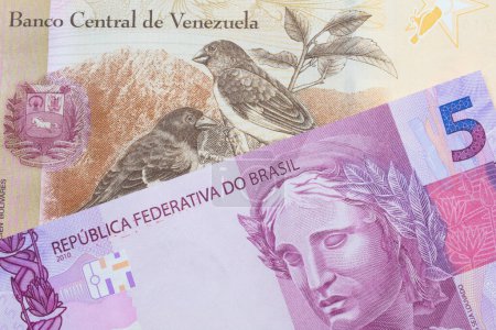 Téléchargez les photos : Une image macro d'un billet de banque rose et violet de cinq vraies du Brésil jumelé avec un billet de banque coloré de cent Bolivar du Venezuela. Plan rapproché dans macro. - en image libre de droit