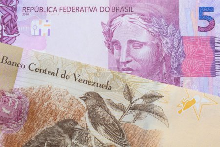 Téléchargez les photos : Une image macro d'un billet de banque rose et violet de cinq vraies du Brésil jumelé avec un billet de banque coloré de cent Bolivar du Venezuela. Plan rapproché dans macro. - en image libre de droit