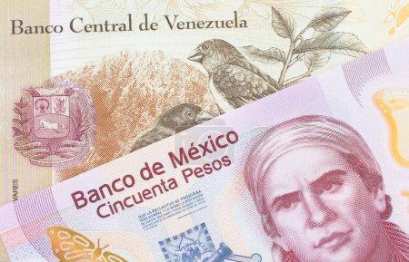 Téléchargez les photos : Une macro image d'un billet de banque rose en plastique de cinquante pesos en provenance du Mexique jumelé à un billet de banque coloré de cent Bolivar en provenance du Venezuela. Plan rapproché dans macro. - en image libre de droit