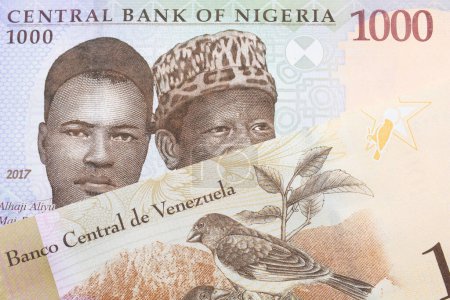 Téléchargez les photos : Une macro image d'un billet de mille nairas bleu, violet et vert du Nigeria jumelé à un billet de banque coloré d'une centaine de Bolivar du Venezuela. Plan rapproché dans macro. - en image libre de droit