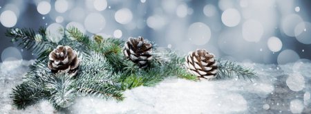 Téléchargez les photos : Bannière de Noël avec branches de feu neigeuses - en image libre de droit