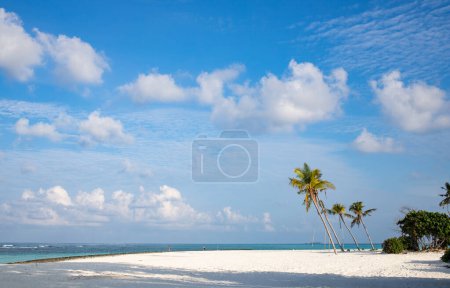 Photo for Amazing tropical island with palm trees - Royalty Free Image