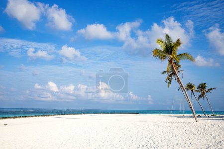 Téléchargez les photos : Île tropicale incroyable avec des palmiers - en image libre de droit