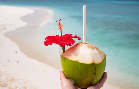 Téléchargez les photos : Femme tenant la noix de coco sur la plage tropicale - en image libre de droit