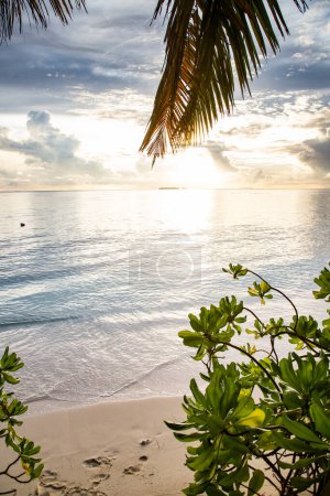 Foto de Increíble puesta de sol sobre el mar en una isla tropical - Imagen libre de derechos