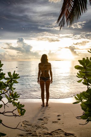 Téléchargez les photos : Femme relaxante sur une belle plage tropicale - en image libre de droit