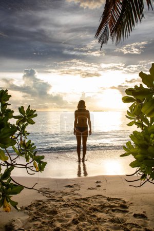 Photo for Woman relaxing on beautiful tropical beach - Royalty Free Image