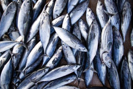 Foto de Puesta plana de pescado fresco en el mercado - Imagen libre de derechos