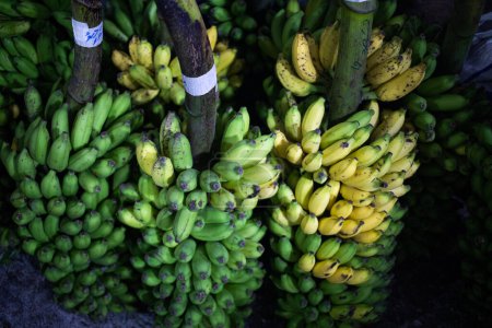 Téléchargez les photos : Fruits et légumes frais sur le marché tropical - en image libre de droit
