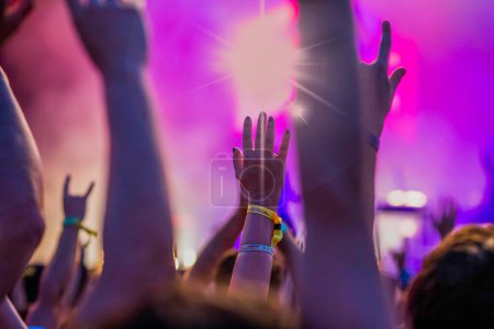 Téléchargez les photos : Foule au festival de musique de concert live - en image libre de droit