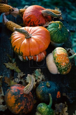 Téléchargez les photos : Citrouilles en automne Carte de Thanksgiving - en image libre de droit