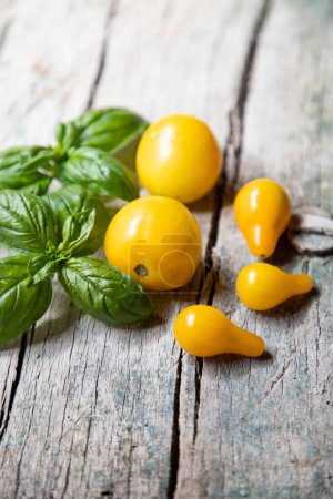 Photo for Yellow cherry tomatoes and basil - Royalty Free Image