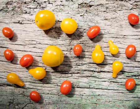 Photo for Red, yellow and green cherry tomatoes - Royalty Free Image