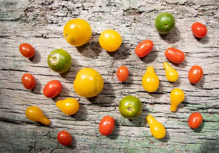 Foto de Tomates cherry rojos, amarillos y verdes - Imagen libre de derechos
