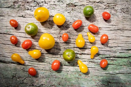 Photo for Red, yellow and green cherry tomatoes - Royalty Free Image