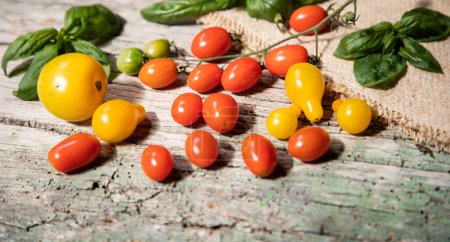 Foto de Tomates cherry rojos, amarillos y verdes - Imagen libre de derechos
