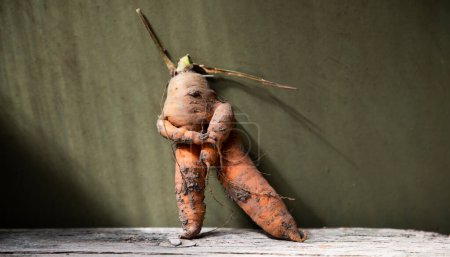 Photo for Funny humanlike carrot on dark green - Royalty Free Image