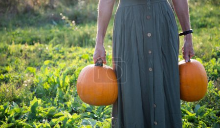 Téléchargez les photos : Femme tenant des citrouilles Halloween - en image libre de droit