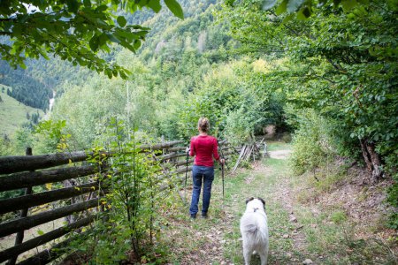 Téléchargez les photos : Femme trekking avec chien à la campagne - en image libre de droit