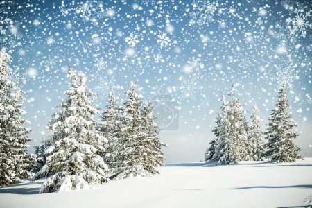 Photo for Beautiful winter landscape with snowy fir trees - Royalty Free Image