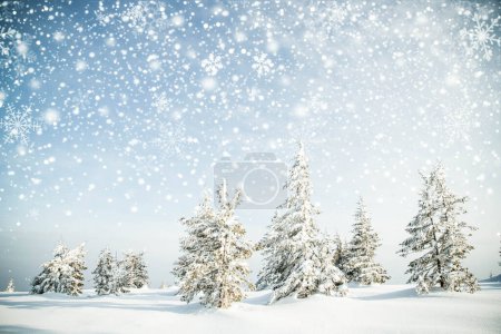 Téléchargez les photos : Beau paysage hivernal avec sapins neigeux - en image libre de droit