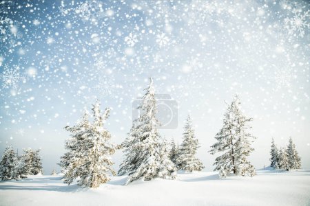 Foto de Hermoso paisaje de invierno con abetos nevados - Imagen libre de derechos