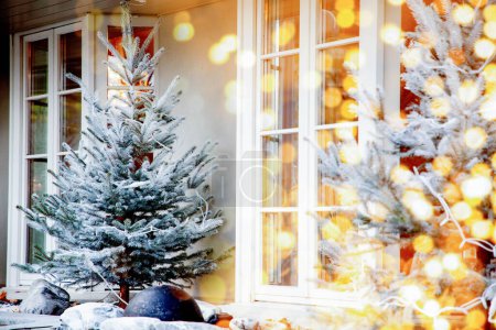 Téléchargez les photos : Sapins neigeux devant une fenêtre - en image libre de droit