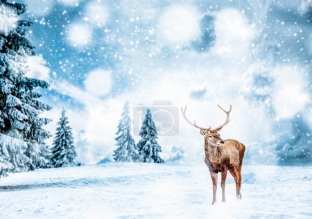 Foto de Tarjeta mágica de Navidad con noble ciervo macho en cuento de hadas paisaje de invierno - Imagen libre de derechos
