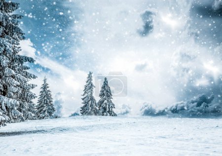 Téléchargez les photos : Carte de Noël magique avec paysage hivernal de conte de fées avec sapins enneigés - en image libre de droit