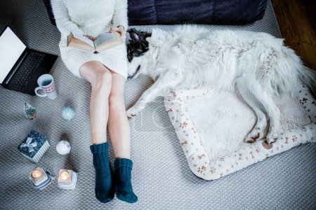 Téléchargez les photos : Femme à la maison avec chien hygge au temps de Noël - en image libre de droit
