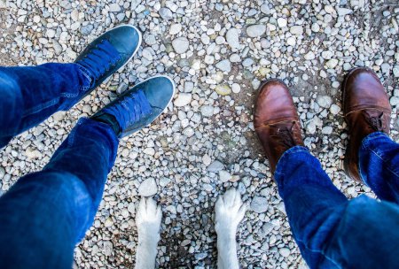Photo for Top view of couple feet and their dog - Royalty Free Image