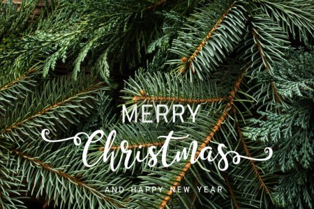 Photo for Green fir branches for Christmas background - Royalty Free Image