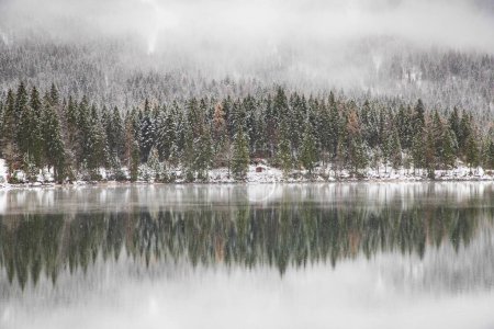 Téléchargez les photos : Lac brumeux en hiver chutes de neige - en image libre de droit