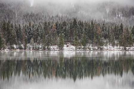 Foto de Niebla lago en invierno nevadas - Imagen libre de derechos