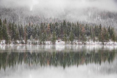 Photo for Foggy lake in winter snowfall - Royalty Free Image