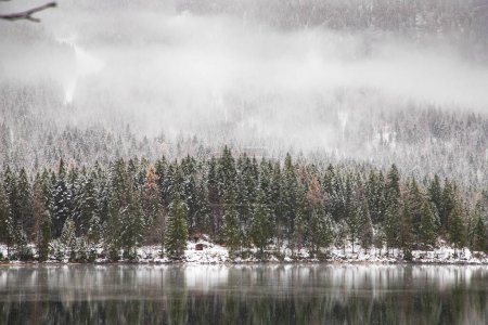 Foto de Niebla lago en invierno nevadas - Imagen libre de derechos