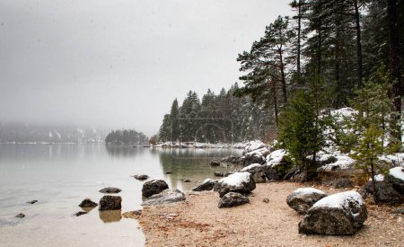 Photo for Foggy lake in winter snowfall - Royalty Free Image